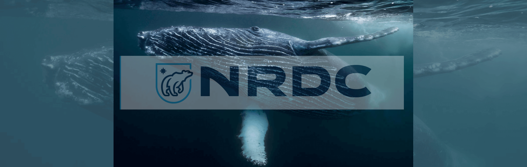 NRDC in the News – Weekly Highlights: Week of  June 12, 2017